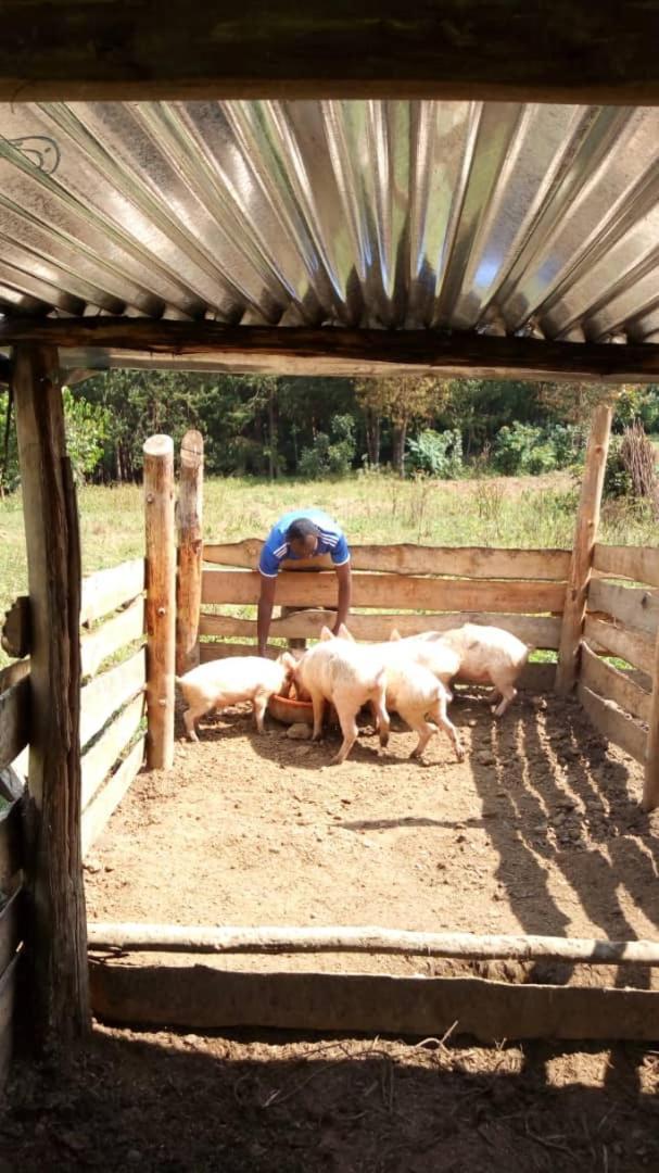 Karungi Camp Villa Rubuguli Dış mekan fotoğraf